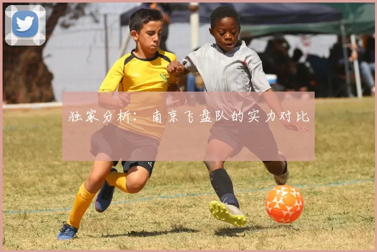 独家分析：南京飞盘队的实力对比