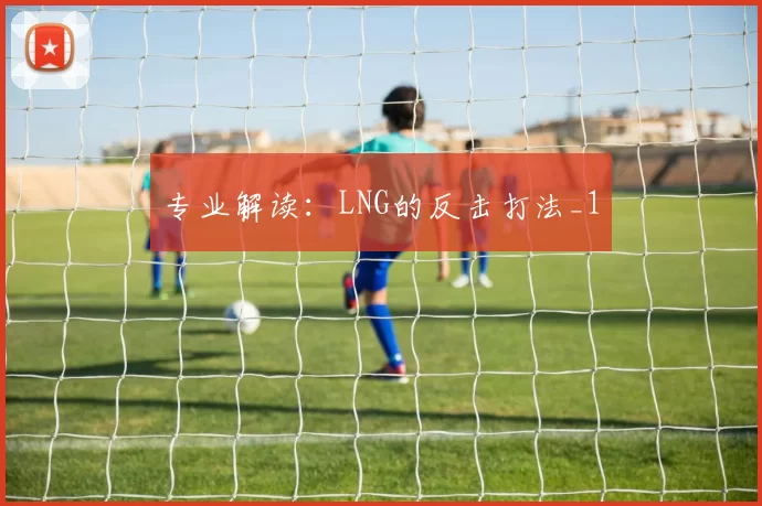 专业解读：LNG的反击打法_1