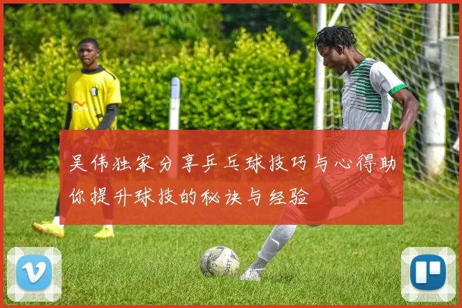 吴伟独家分享乒乓球技巧与心得助你提升球技的秘诀与经验