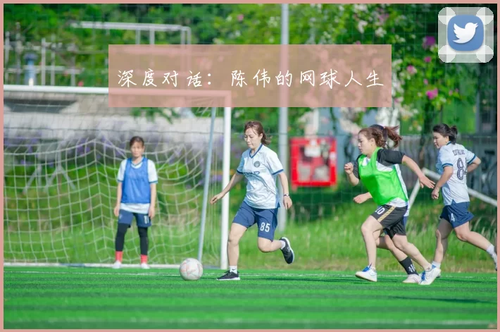 深度对话：陈伟的网球人生