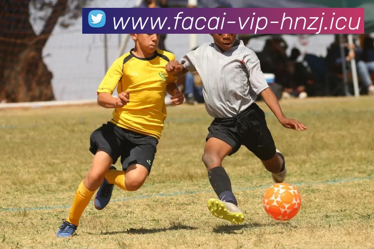 开云体育APP 封面图